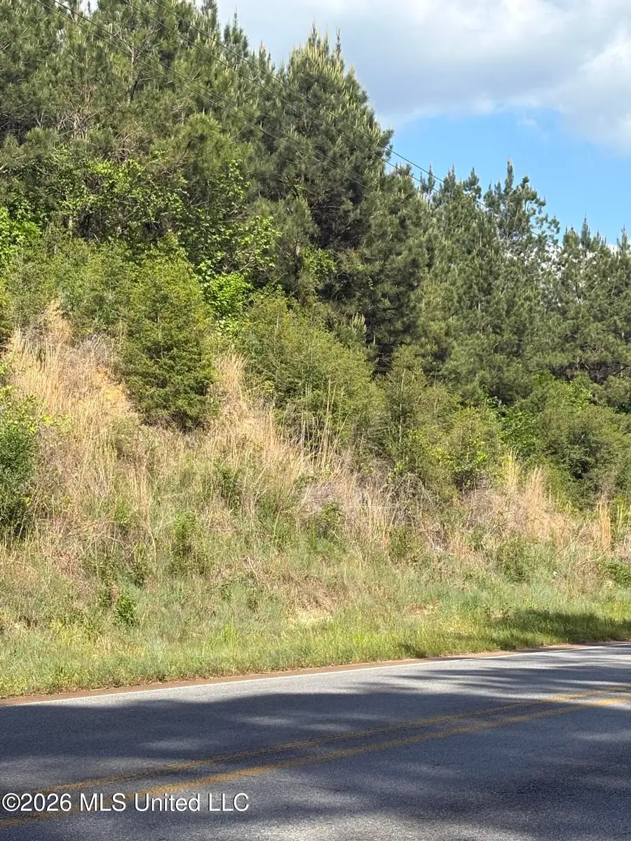 0 Mississippi 33, Crosby, MS 39633 - #2