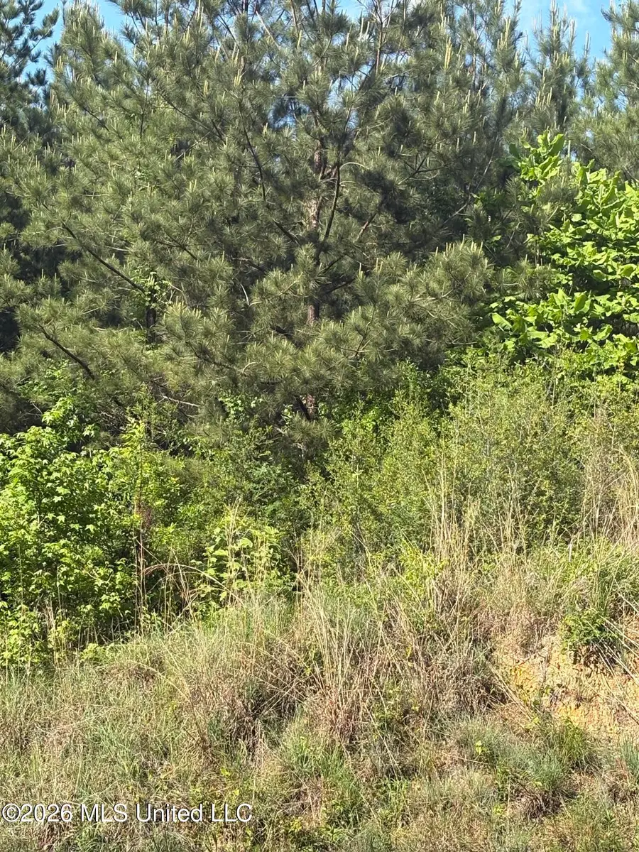 0 Mississippi 33, Crosby, MS 39633 - #3