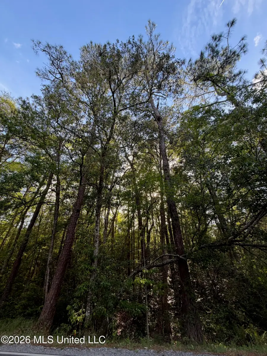 State Line Road, Moss Point, MS 39562 - #3