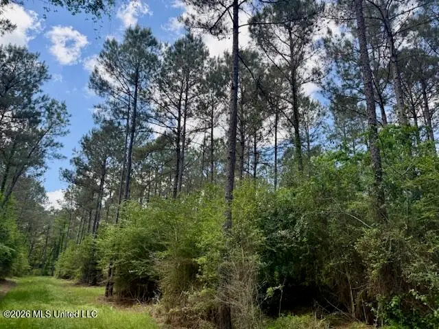 Magnolia Holmesville Road, McComb, MS 39648 - #1