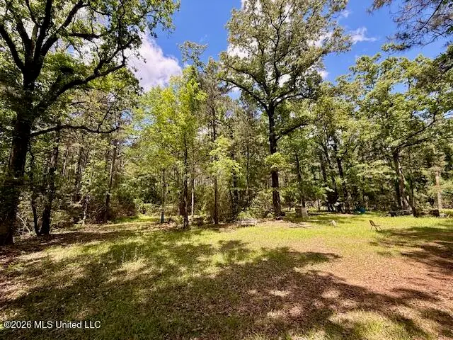 Magnolia Holmesville Road, McComb, MS 39648 - #3