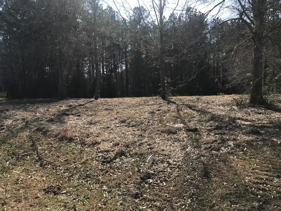 0 SE Skyward Lane, Brookhaven, MS 39601 - #2