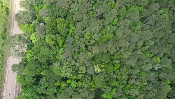 0 Us-98 Highway, Smithdale, MS 39664