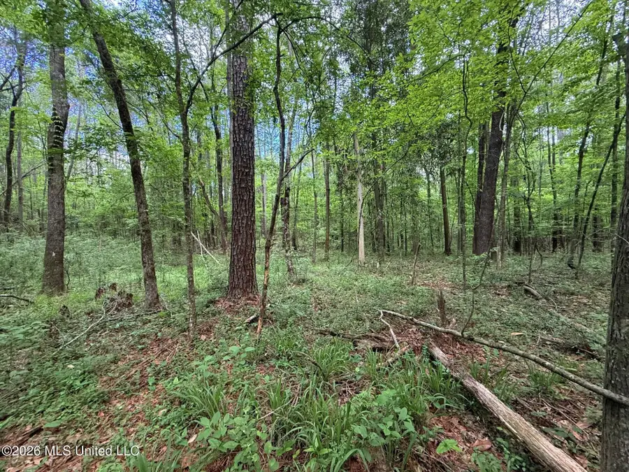 0 Us-98 Highway, Smithdale, MS 39664 - #2