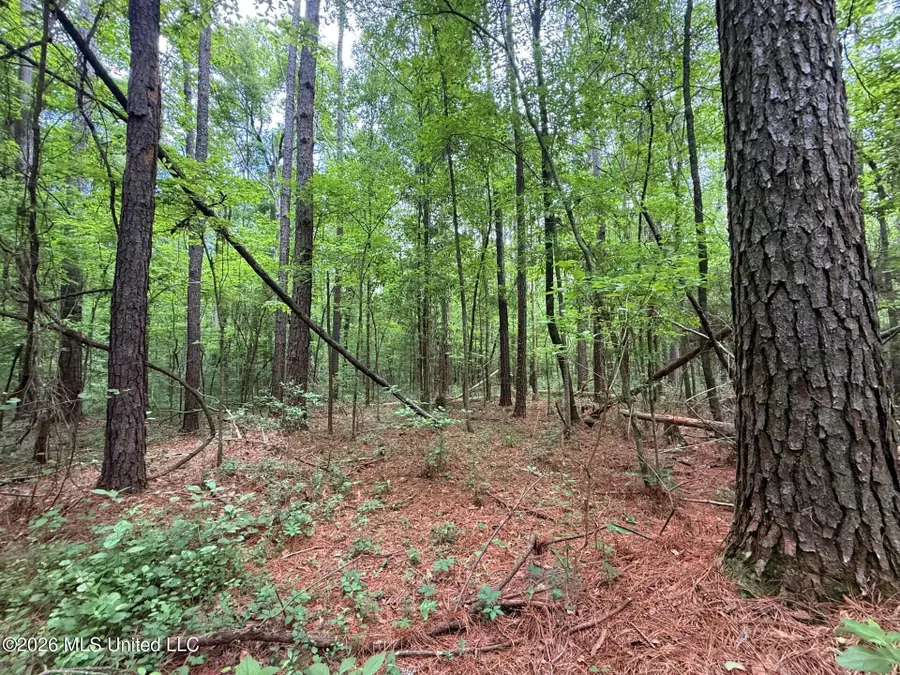 0 Us-98 Highway, Smithdale, MS 39664 - #3