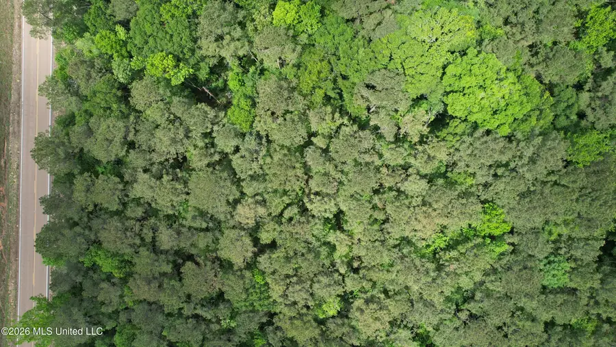 0 Us 98 Highway, Smithdale, MS 39664 - #2