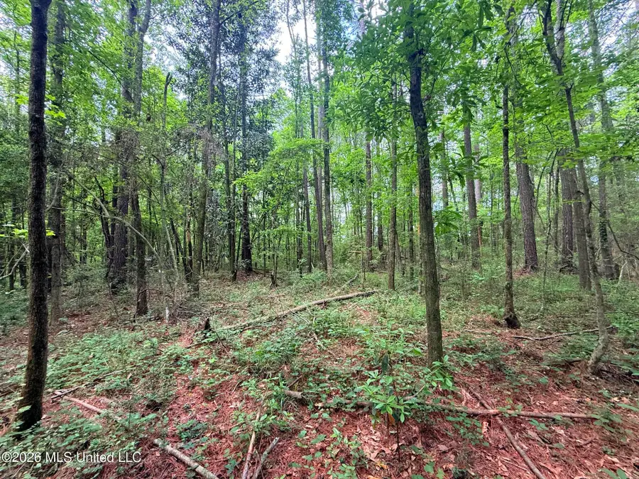 0 Us 98 Highway, Smithdale, MS 39664 - #3