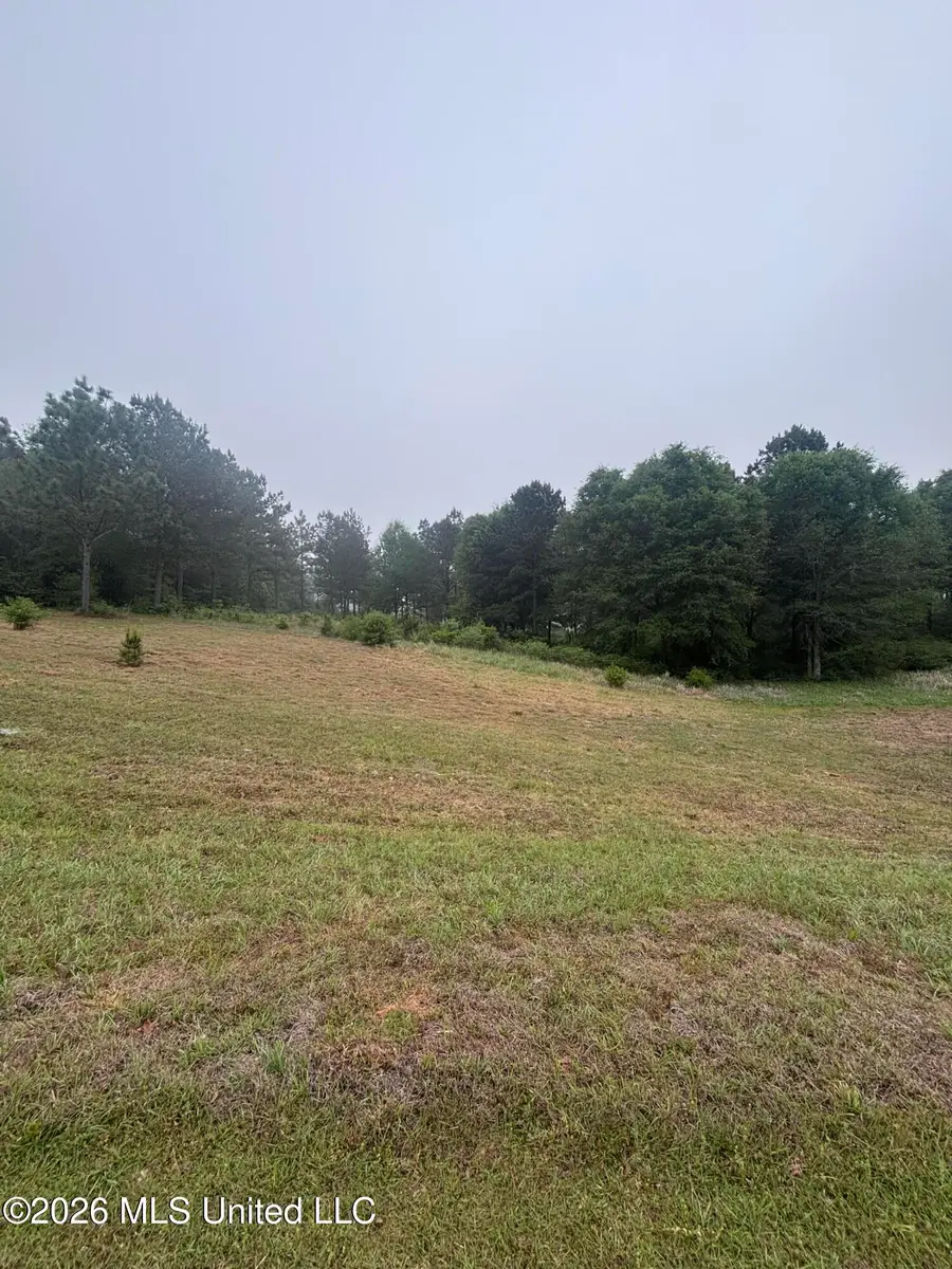 00 W Circle Road, Ellisville, MS 39437 - #3