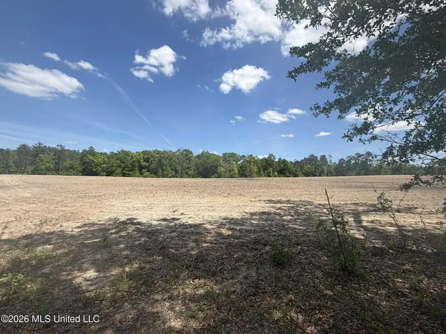 19.2 Ac Mcinnis Vernal Road, Lucedale, MS 39452 - #2