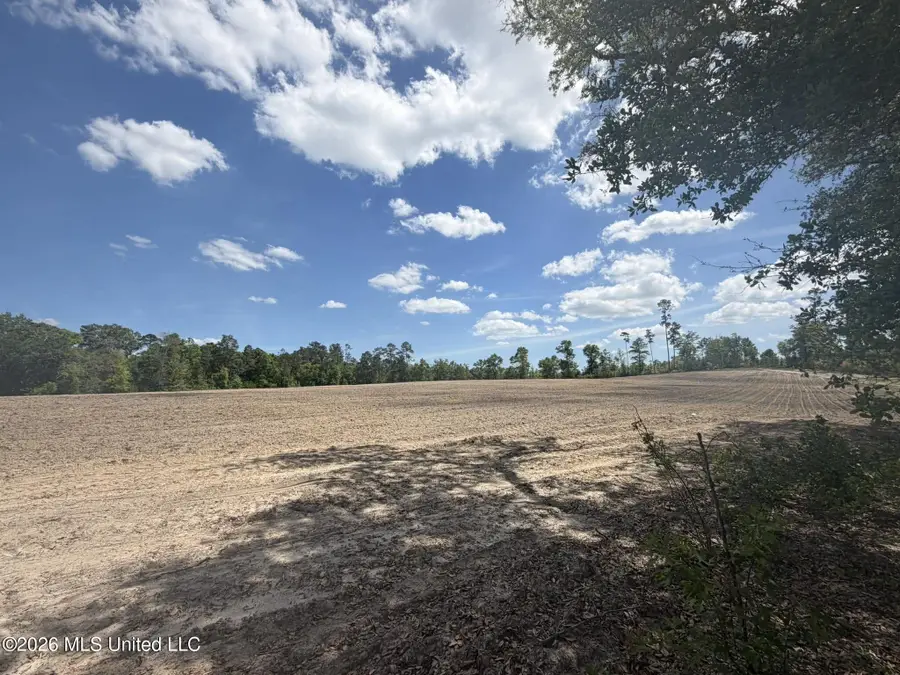 19.2 Ac Mcinnis Vernal Road, Lucedale, MS 39452 - #3