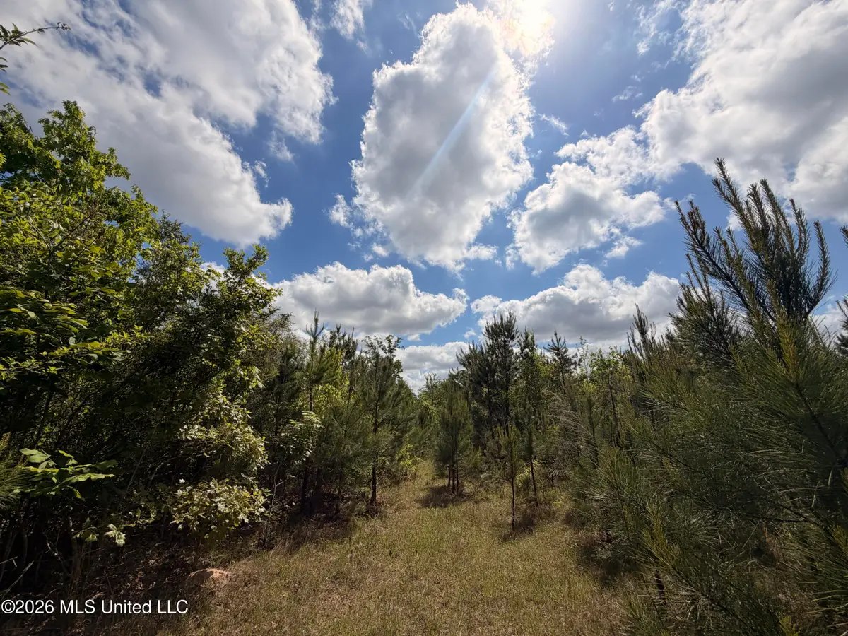 93 Hammond Road, Monticello, MS 39654 - #1