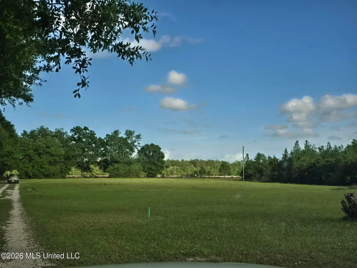 00 Werner Road, Picayune, MS 39466 - #1