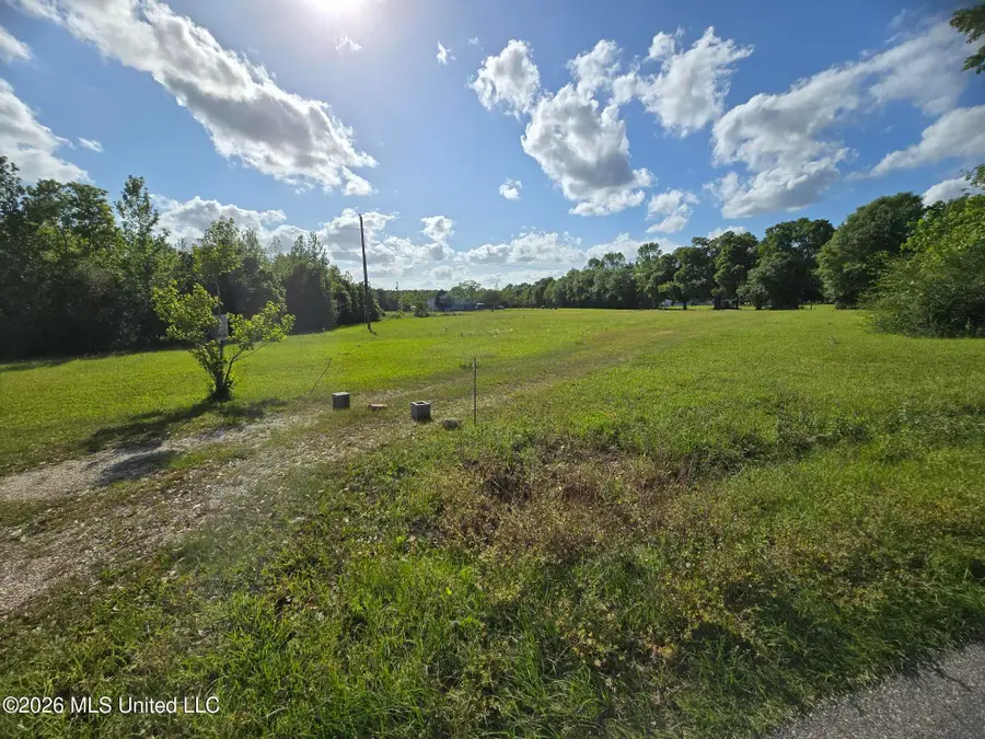 00 Werner Road, Picayune, MS 39466 - #2