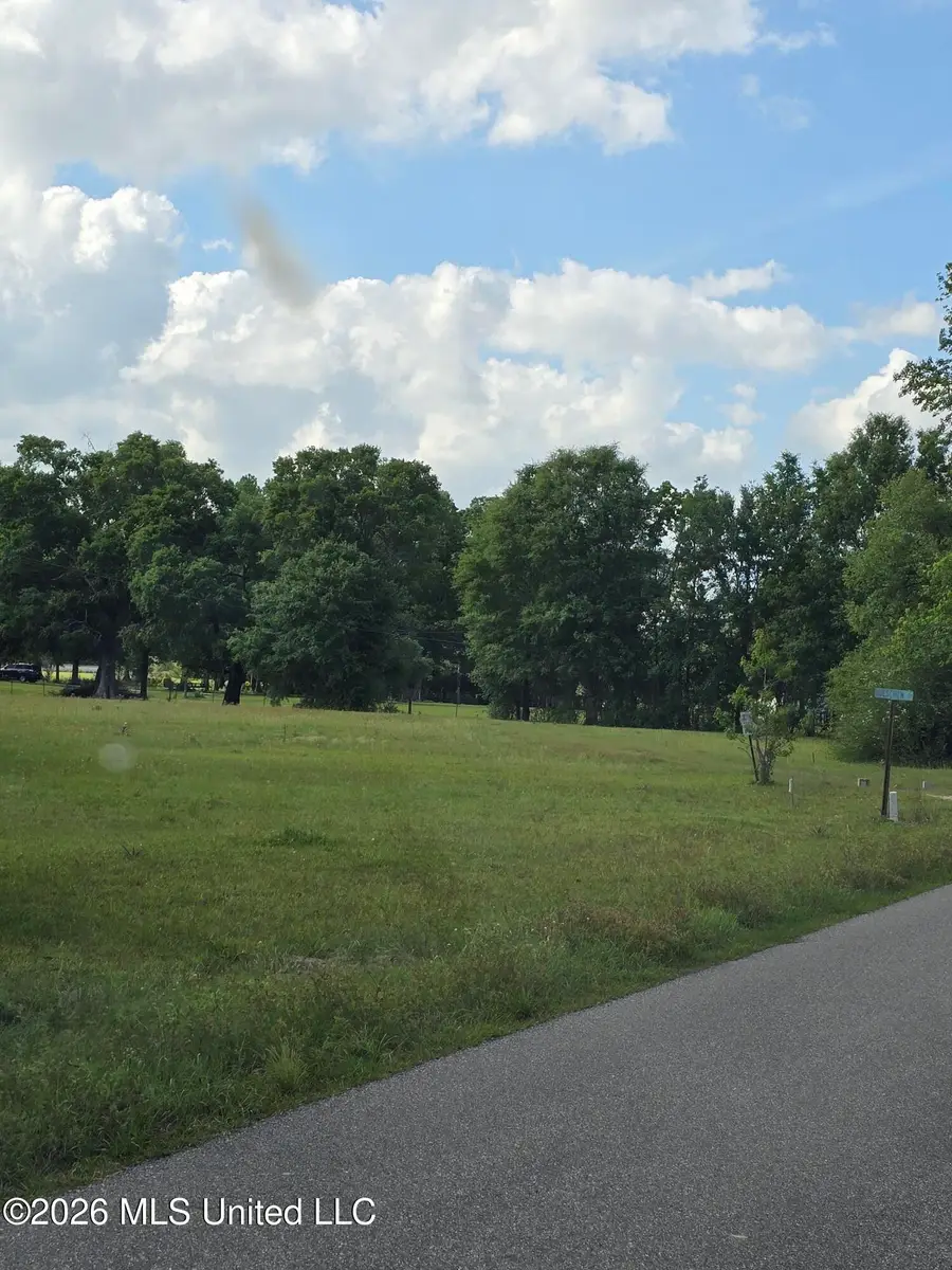 00 Werner Road, Picayune, MS 39466 - #3