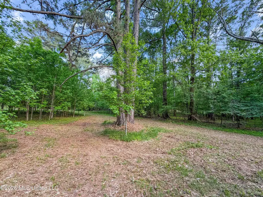 Lorman Lane, Madison, MS 39110 - #3