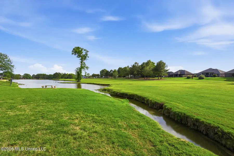 121 Lake Pointe Drive, Pearl, MS 39208 - #3