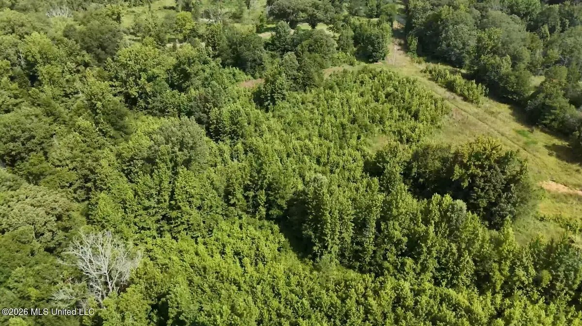 0 Chapel Hill Road, Utica, MS 39175 - #1