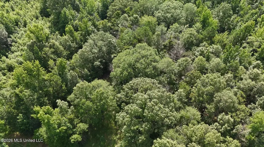 0 Chapel Hill Road, Utica, MS 39175 - #2