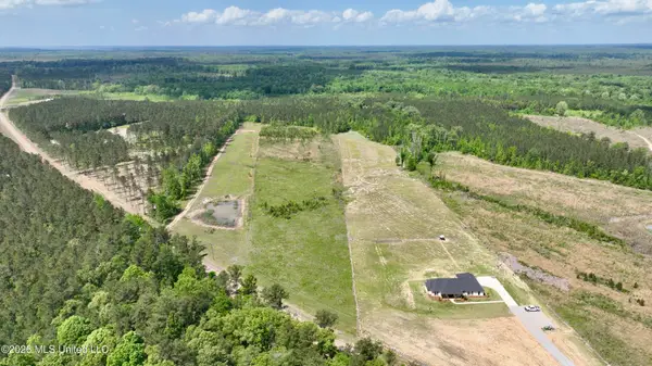 0010 Coal Bluff Road, Lena, MS 39094