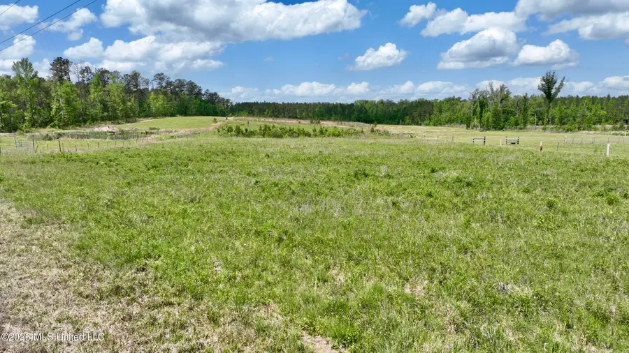 0010 Coal Bluff Road, Lena, MS 39094 - #2
