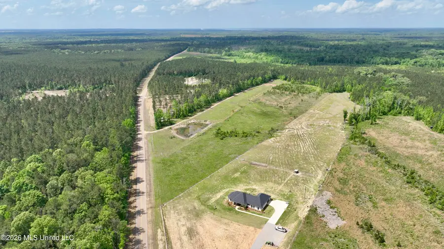 0010 Coal Bluff Road, Lena, MS 39094 - #3