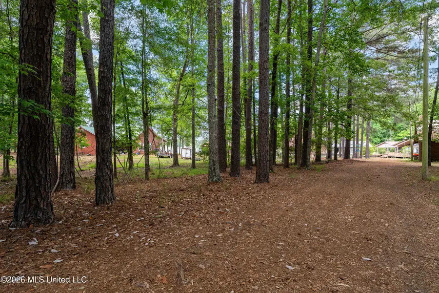 494 Lake Eddins 1638, Pachuta, MS 39347 - #3