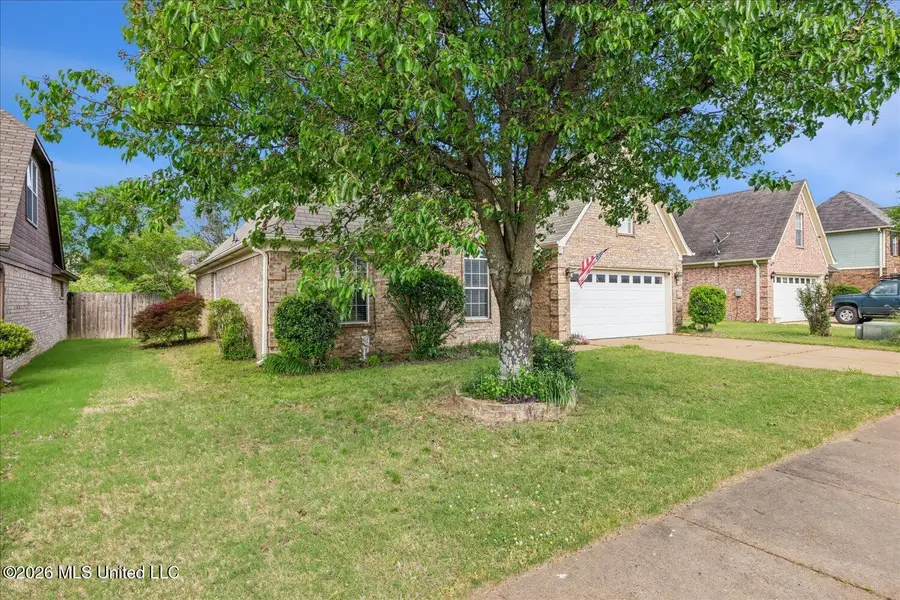 7238 Crape Myrtle Drive, Olive Branch, MS 38654 - #3