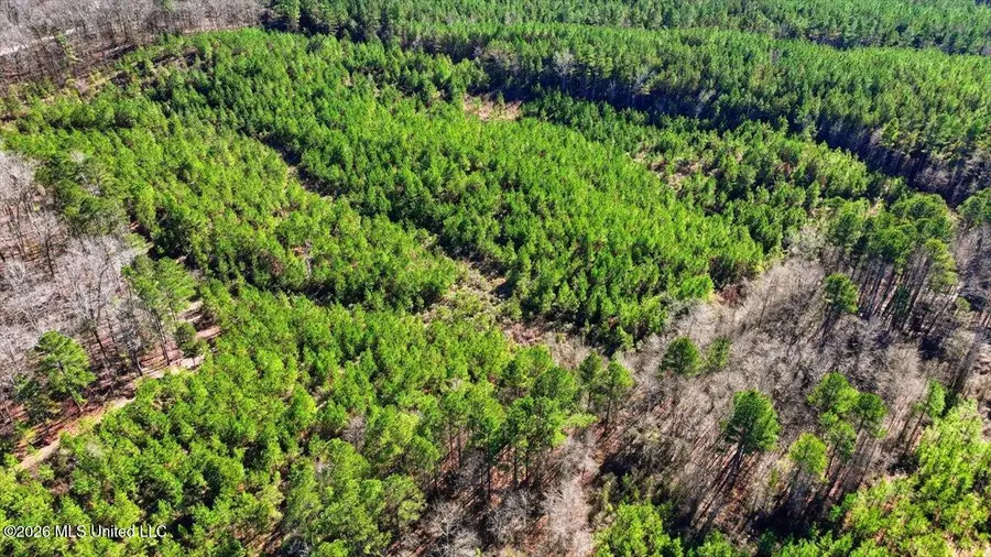 1024-1098 Milligan Spring Road, Eupora, MS 39744 - #3