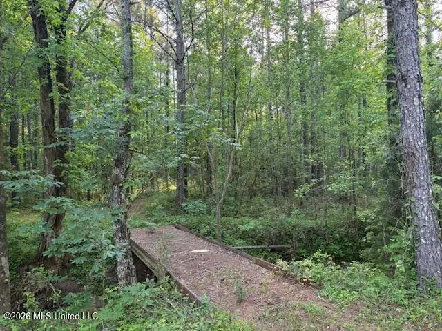 Mudline Road, Lake, MS 39092 - #2