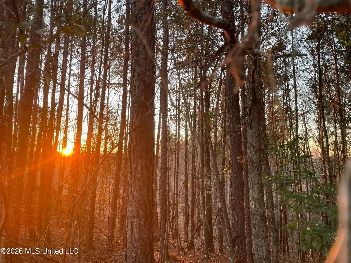 371 SW Low Water Lane, Brookhaven, MS 39601 - #1