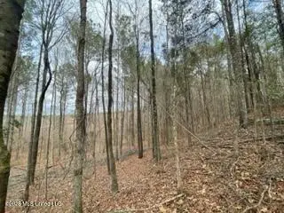 371 SW Low Water Lane, Brookhaven, MS 39601 - #3