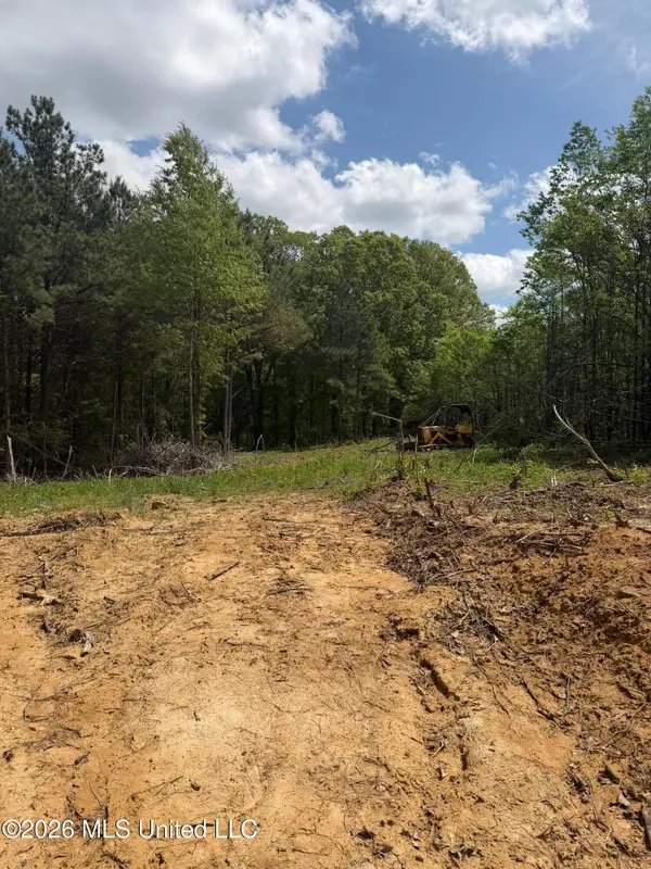 Lot 4 Cayce Rd, Byhalia, MS 38611