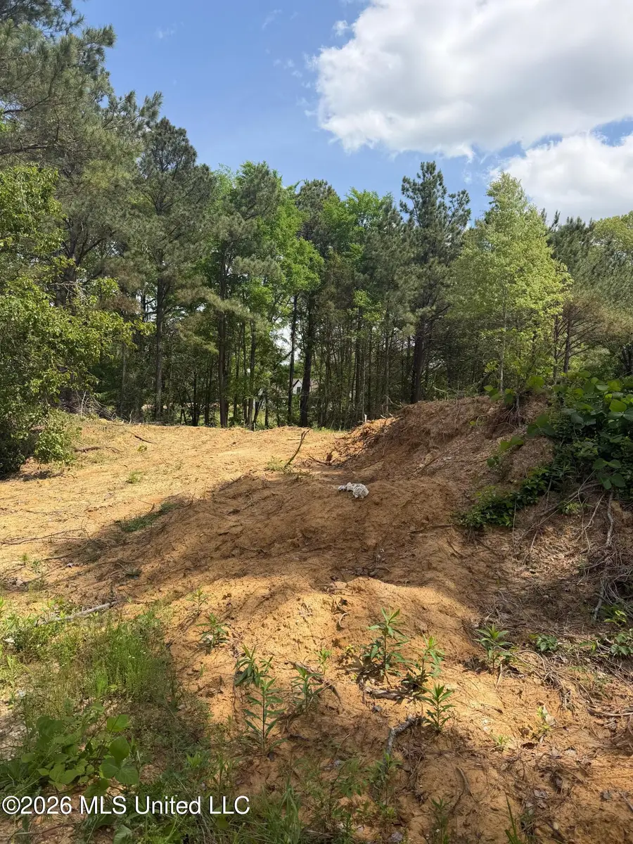 Lot 4 Cayce Rd, Byhalia, MS 38611 - #3