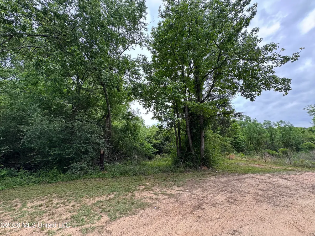 0 Miller Lane, Summit, MS 39666 - #1