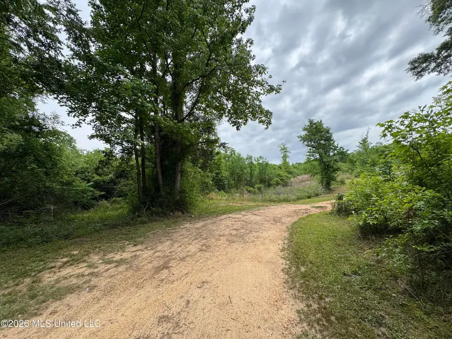 0 Miller Lane, Summit, MS 39666 - #2