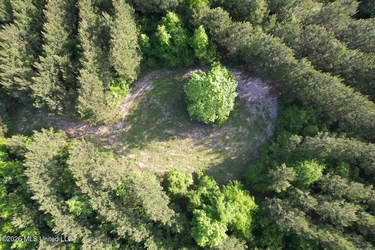 2354 Willie Redden Road, Greensburg, LA 70441 - #1