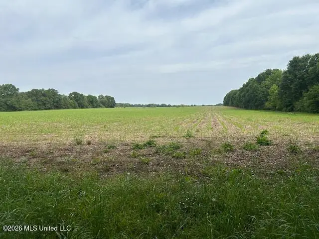 Old Jackson Road, Canton, MS 39046 - #2