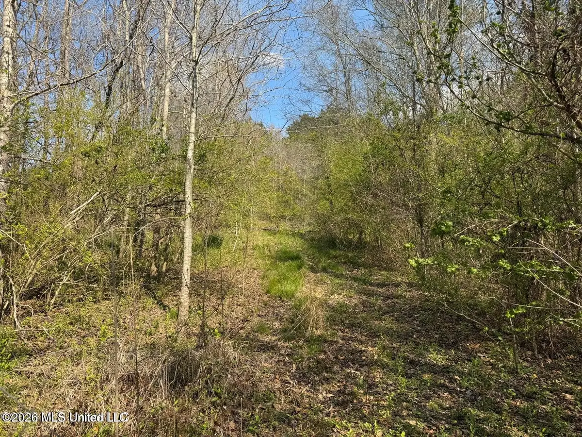 Well Street, Wesson, MS 39191 - #1