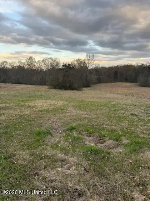 0 Meadow Oaks Lane, Jackson, MS 39209 - #3