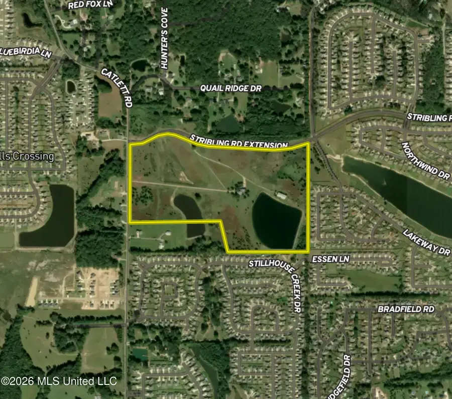 300 Catlett Road, Madison, MS 39110 - #3