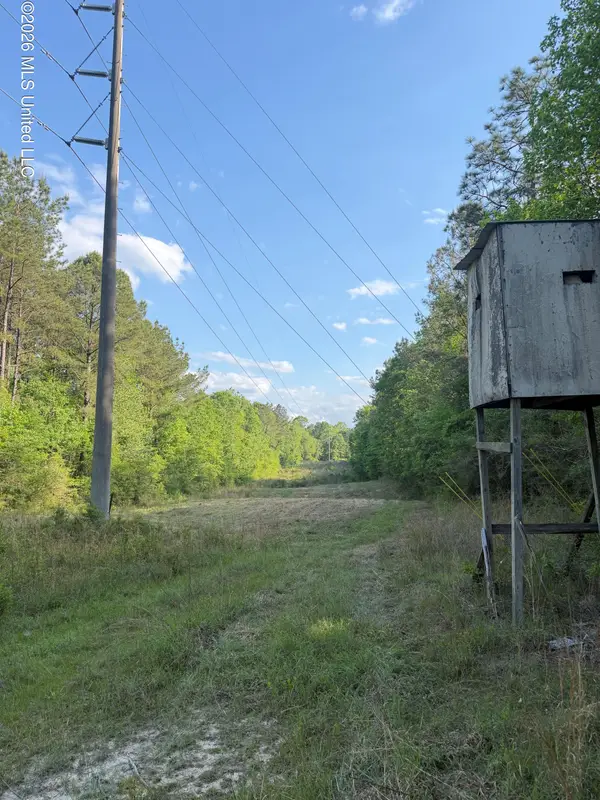 Titus Stewart Road, Hattiesburg, MS 39401