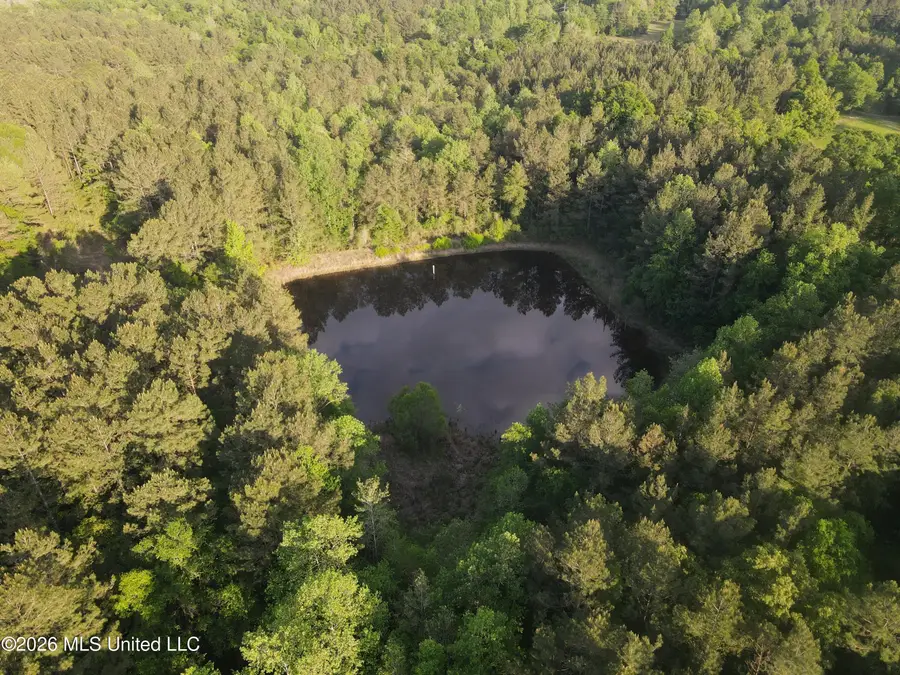 Titus Stewart Road, Hattiesburg, MS 39401 - #2