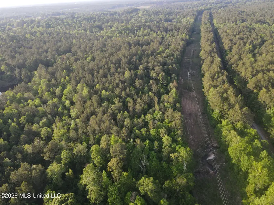 Titus Stewart Road, Hattiesburg, MS 39401 - #3