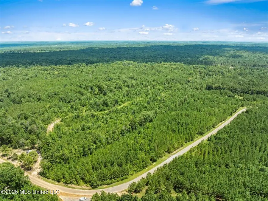 J P Hinton Road, Richton, MS 39476 - #2