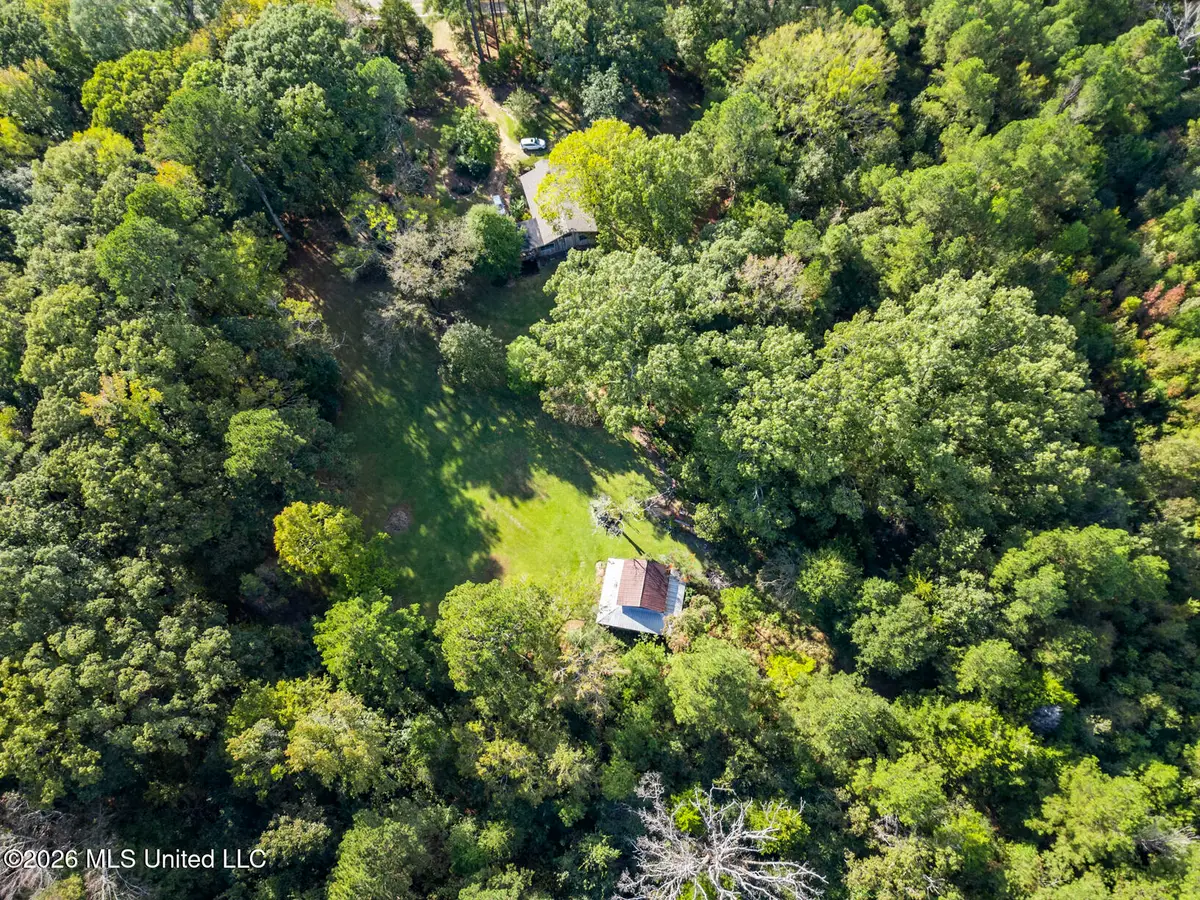 2049 Cleary Road, Florence, MS 39073 - #1