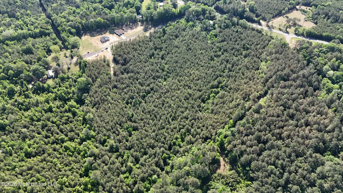 024 Mississippi 43, Camden, MS 39045 - #1