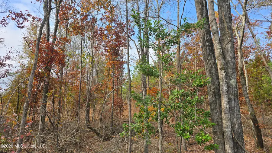 Old Trace Road, McCool, MS 39108 - #3