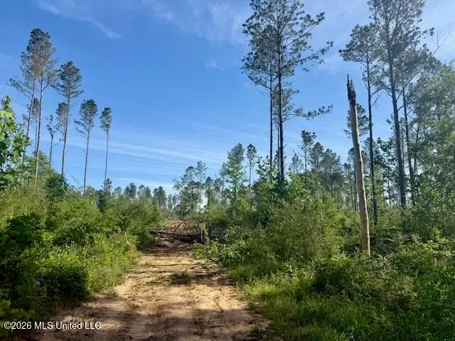 Rutland Road, Jayess, MS 39641 - #1