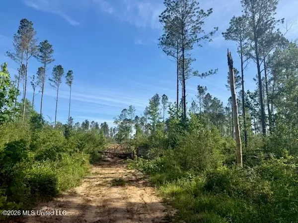 Rutland Road, Jayess, MS 39641