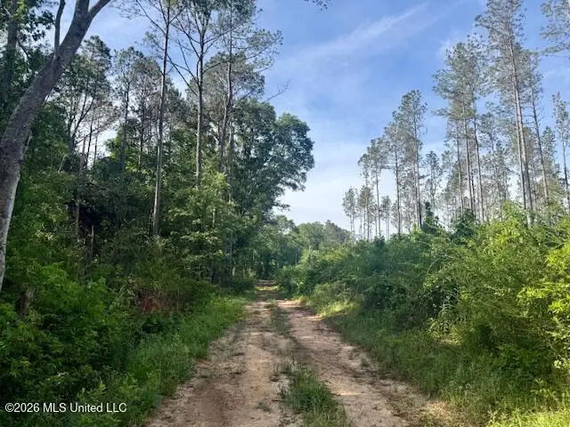 Rutland Road, Jayess, MS 39641 - #2